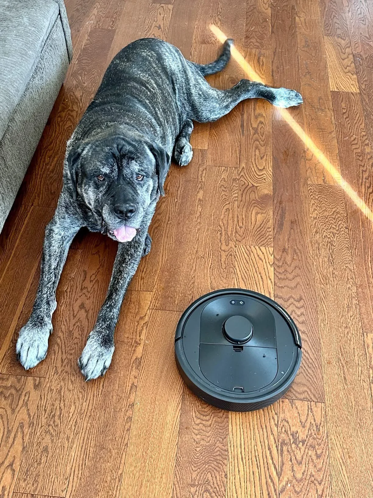 Klaudijos V. atsiliepimas