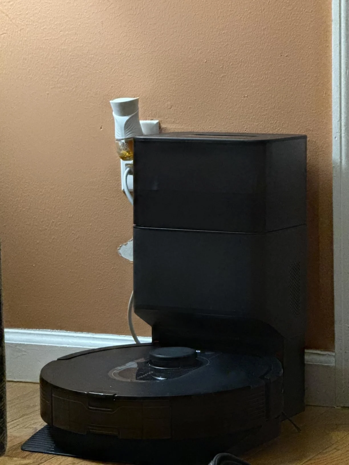 Pauliaus R. atsiliepimas