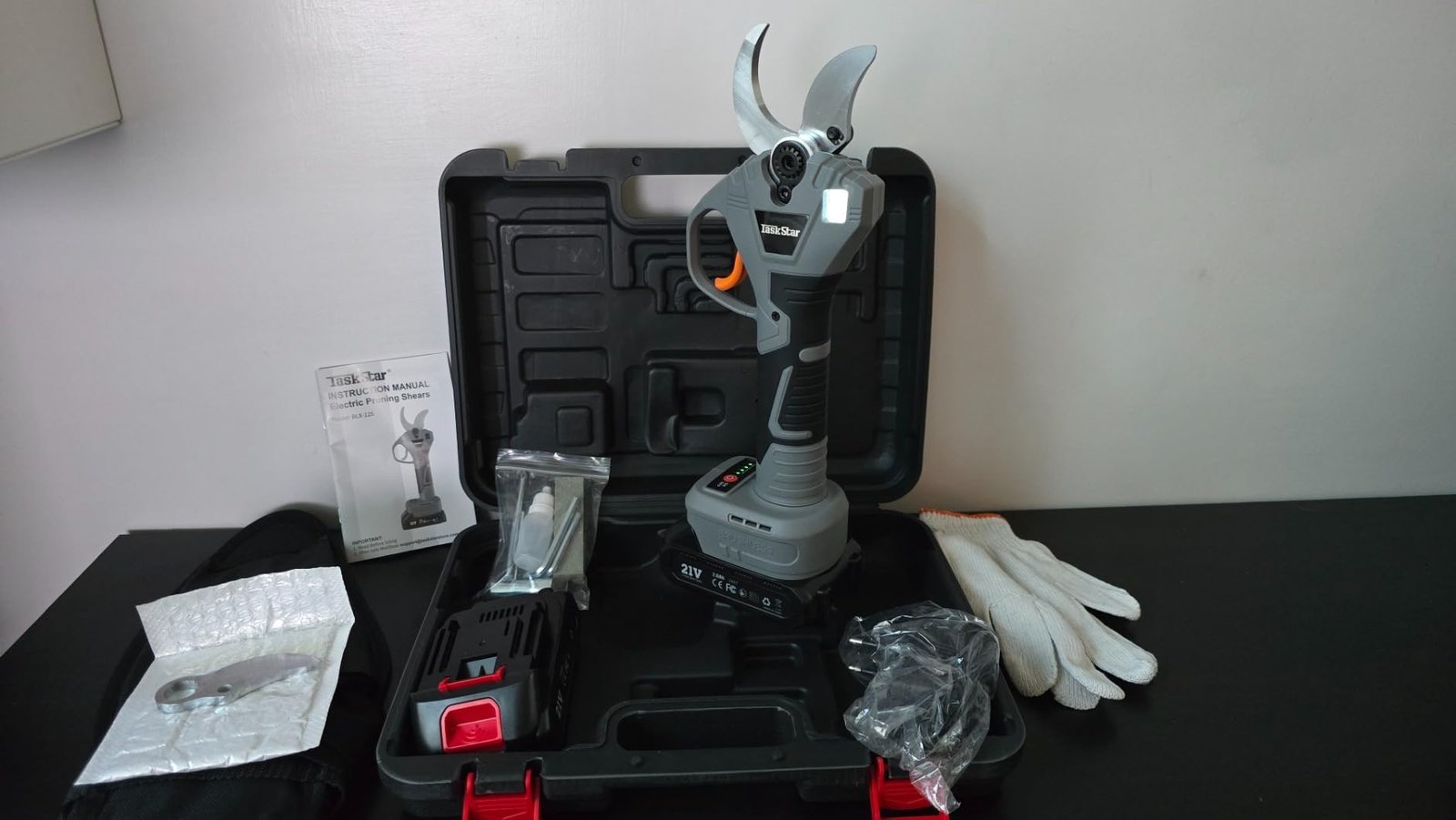 Recenzie Ștefan Nicolescu