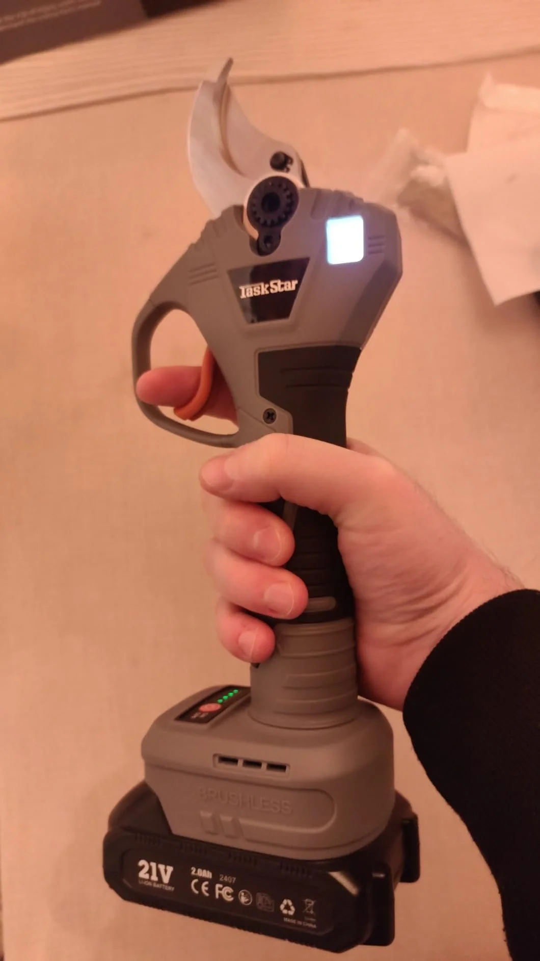 Recenzie Florina Stoica