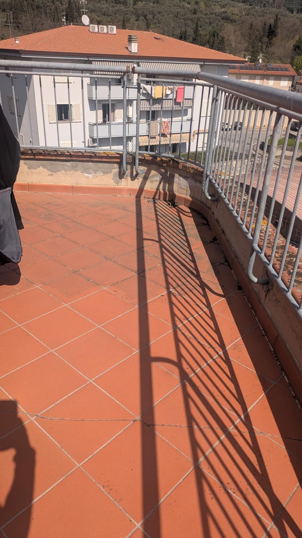 Отзив Хана Петрова